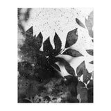 Leaves #1 (Print Only) thumbnail