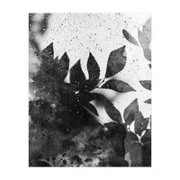 Leaves #1 (Print Only)