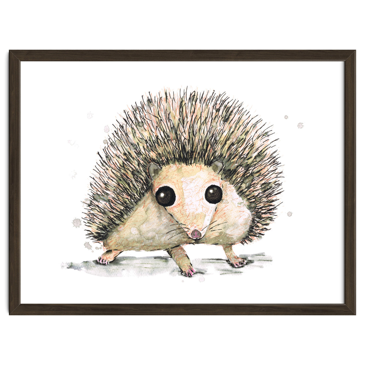 Hedgehog
