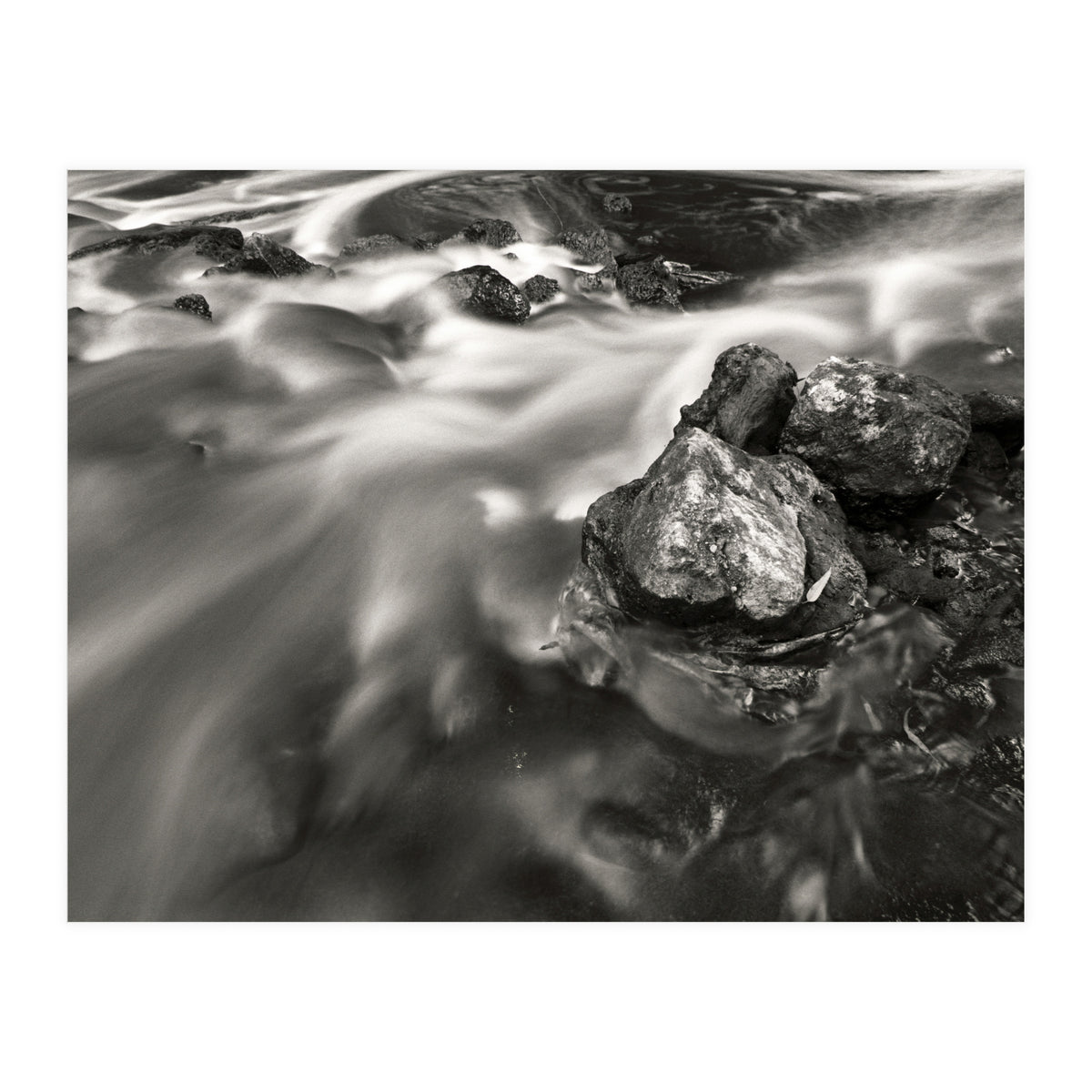 The Stream (Print Only)