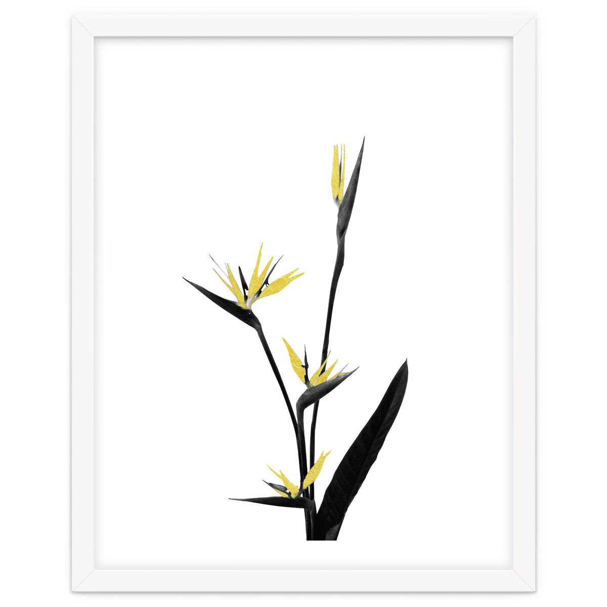 Flower Minimal Black And Gold 05