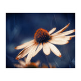 Flowers Indigo (Print Only) thumbnail