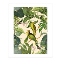 Green Jungle Parakeets (Print Only)