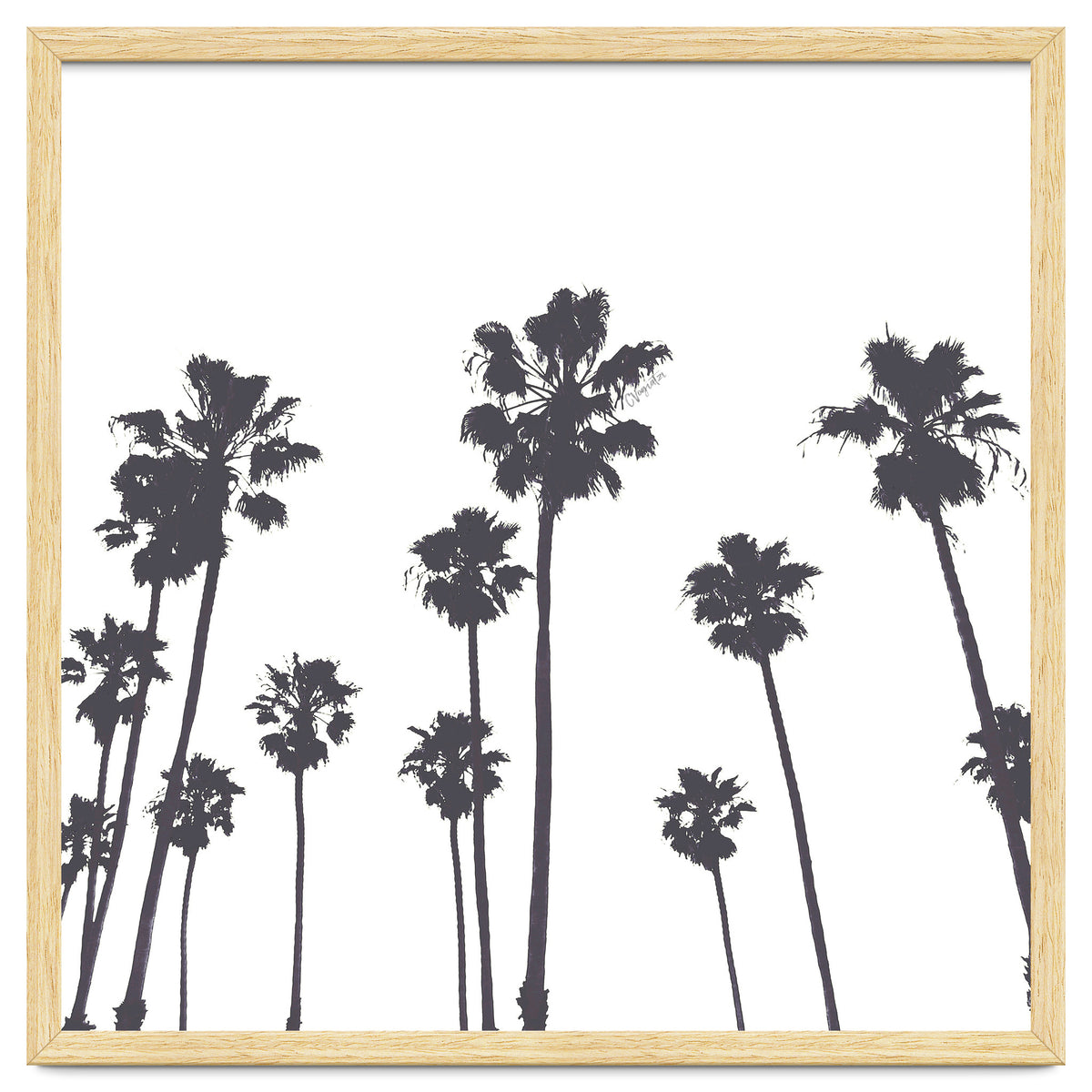 Palms & Sunset-Minimal B&W