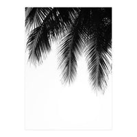 Palm leaves (Print Only)