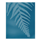 Pteridopsida 2 (Print Only) thumbnail