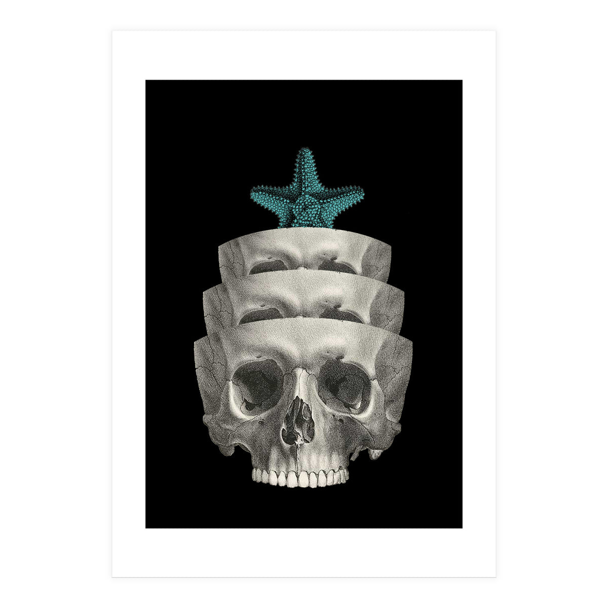 teschio (Print Only)