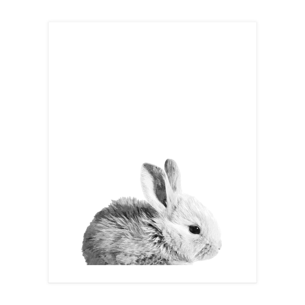 Black and White Bunny Portrait (Print Only)