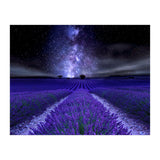 Under The Stars (Print Only) thumbnail