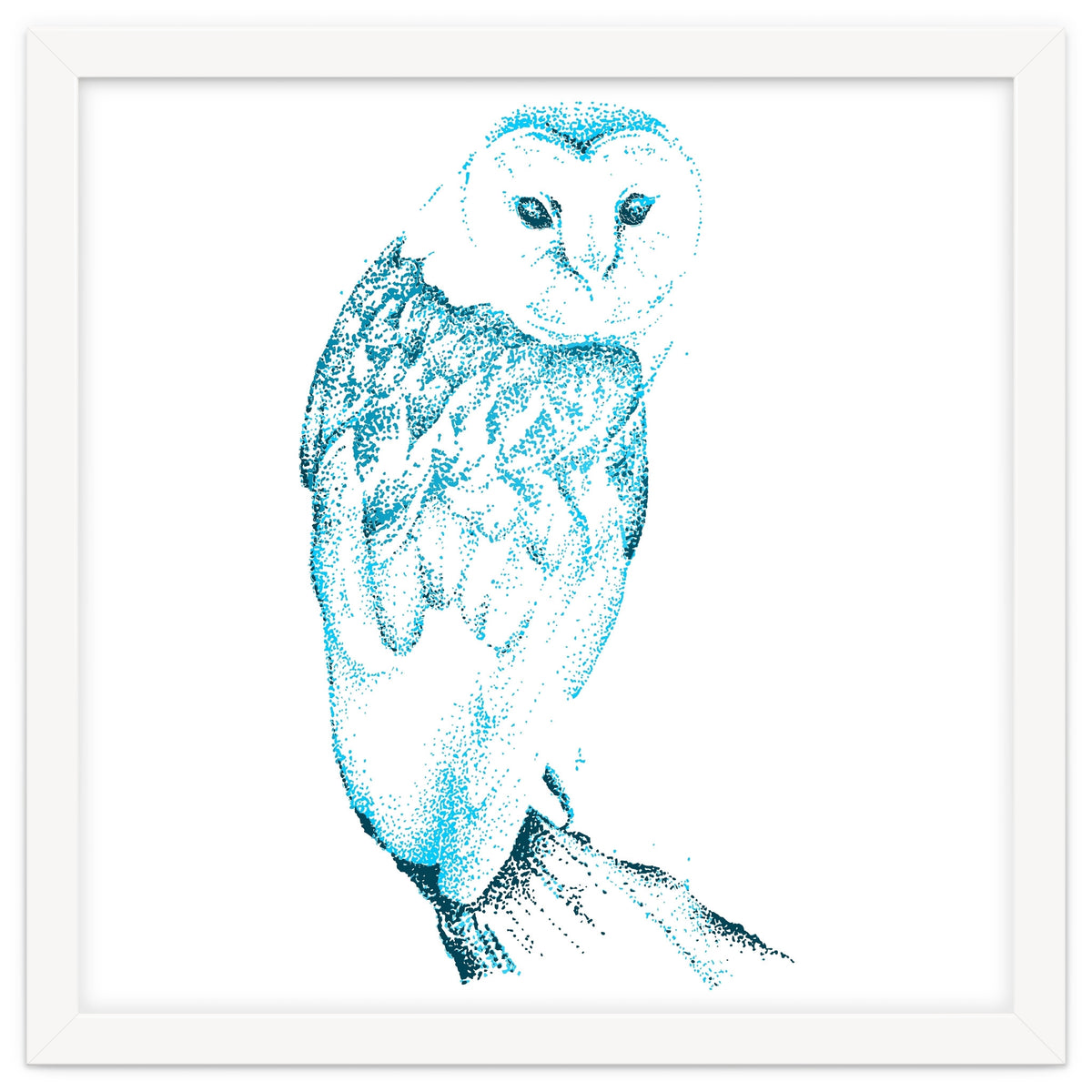 Barn Owl in Teal
