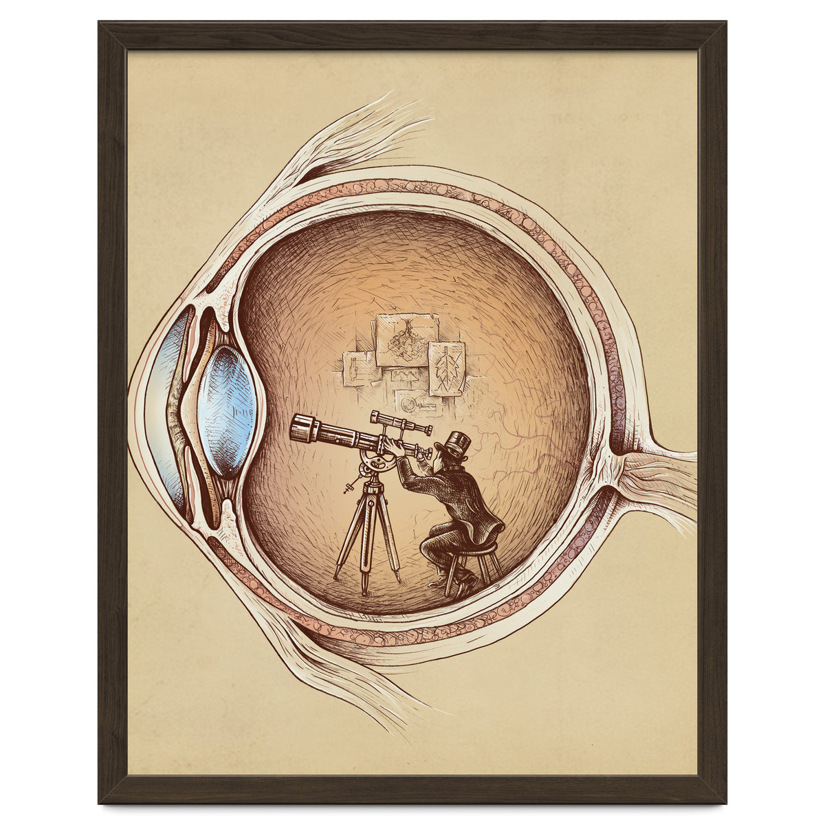 Extraordinary Observer