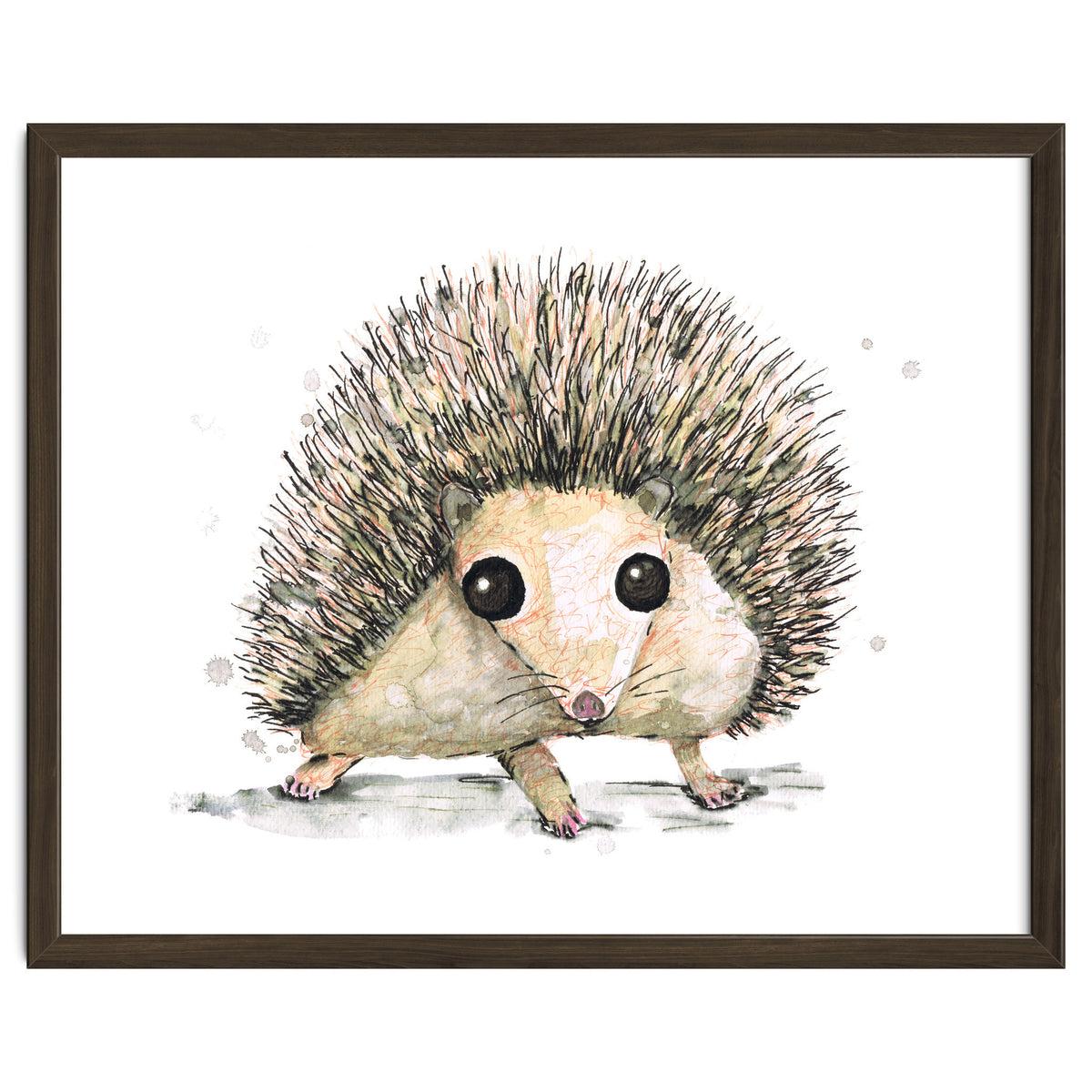 Hedgehog