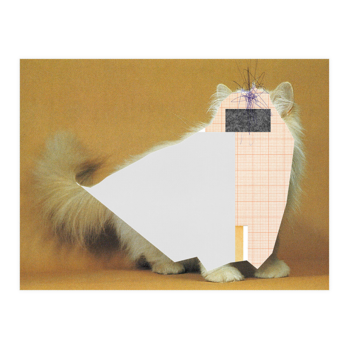 Content Of The Cat 1 (Print Only)