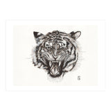 Tiger (Print Only) thumbnail