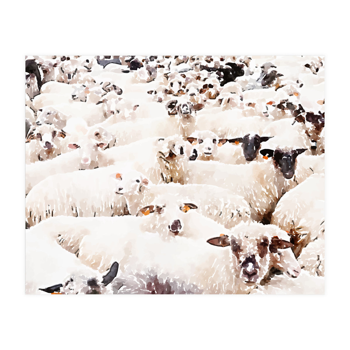 The Herd (Print Only)