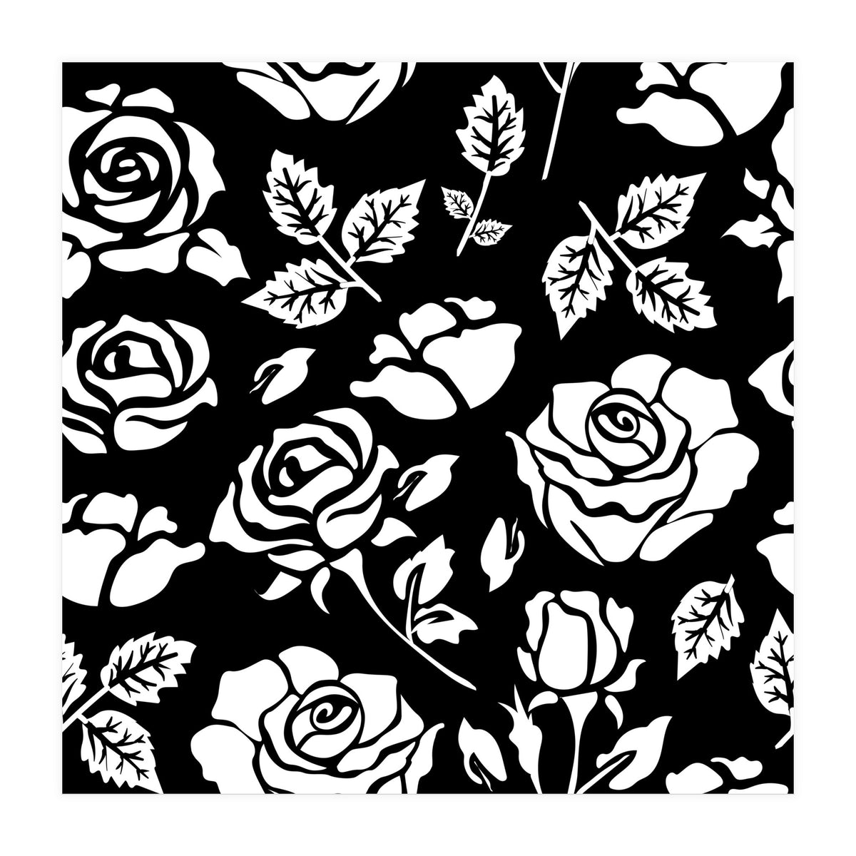 White Rose (Print Only)