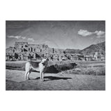 Taos (Print Only) thumbnail