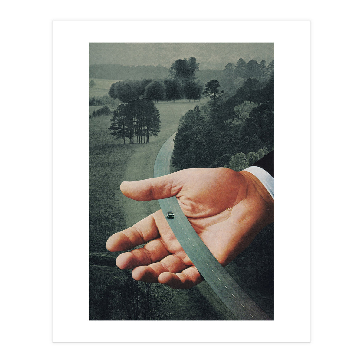 Comfort Zone (Print Only)