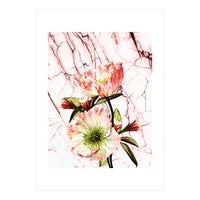Flowering on pink marble (Print Only)