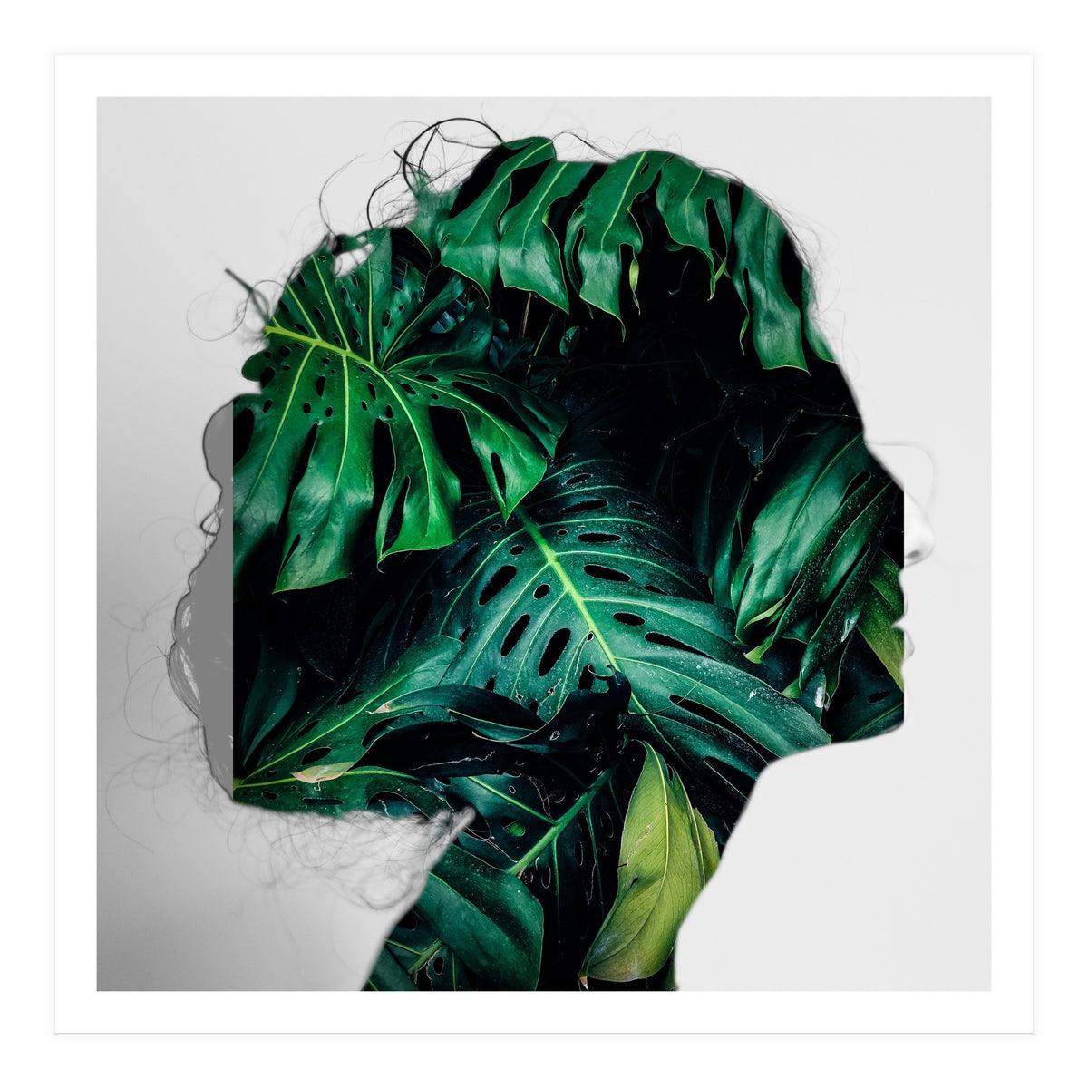 Crazy Woman 208 (Print Only)