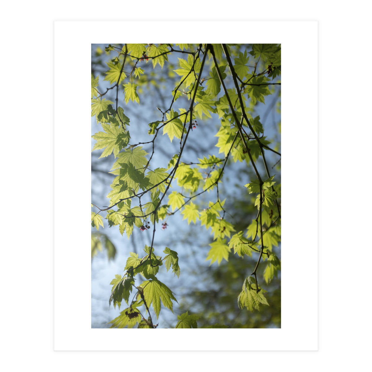 Wellbeing (Print Only)