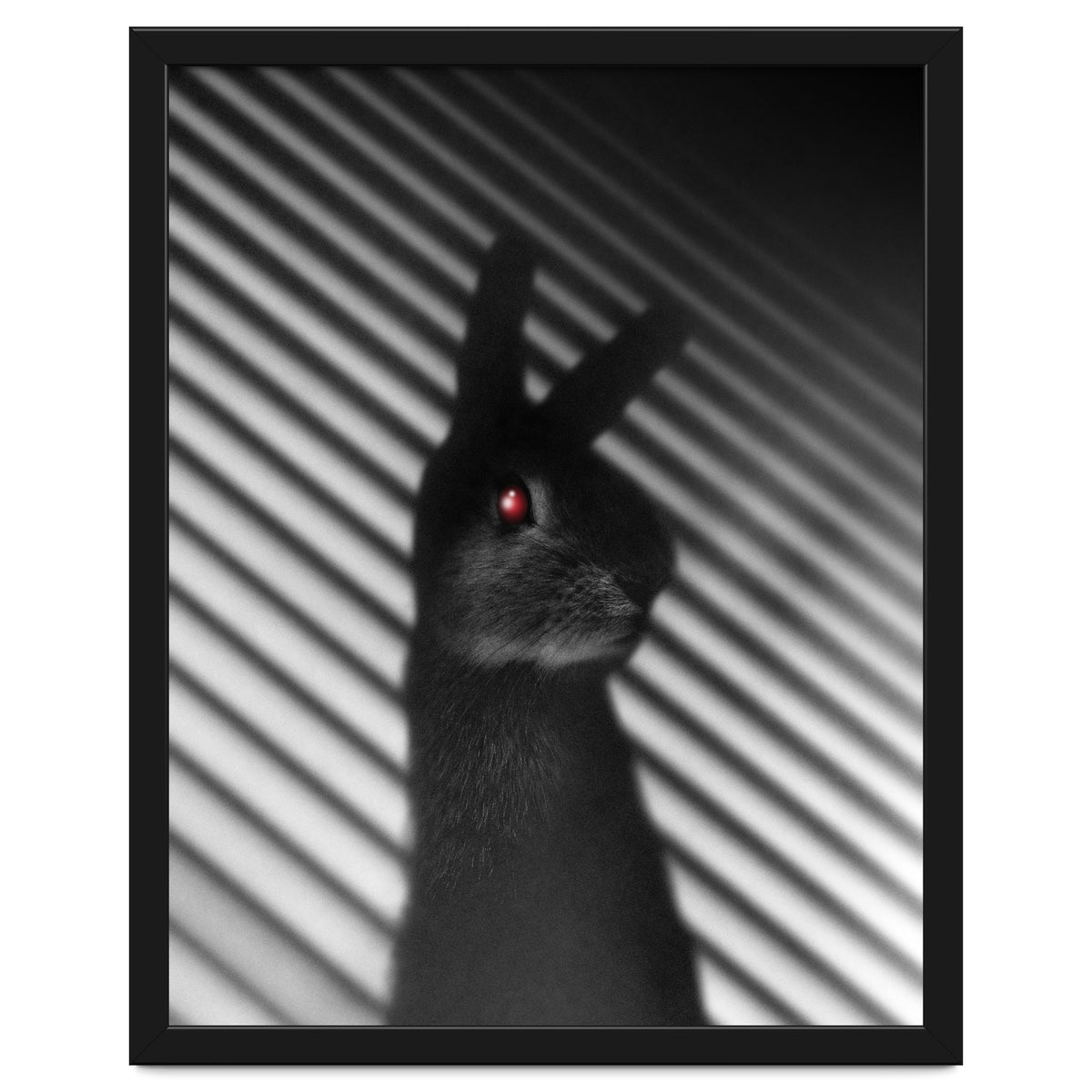 Shadow Bunny