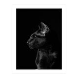 Black Cat (Print Only) thumbnail