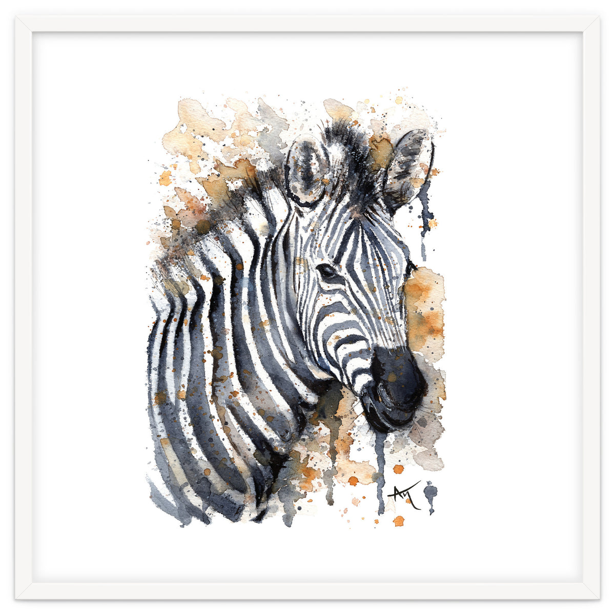 Zebra - Wildlife Collection