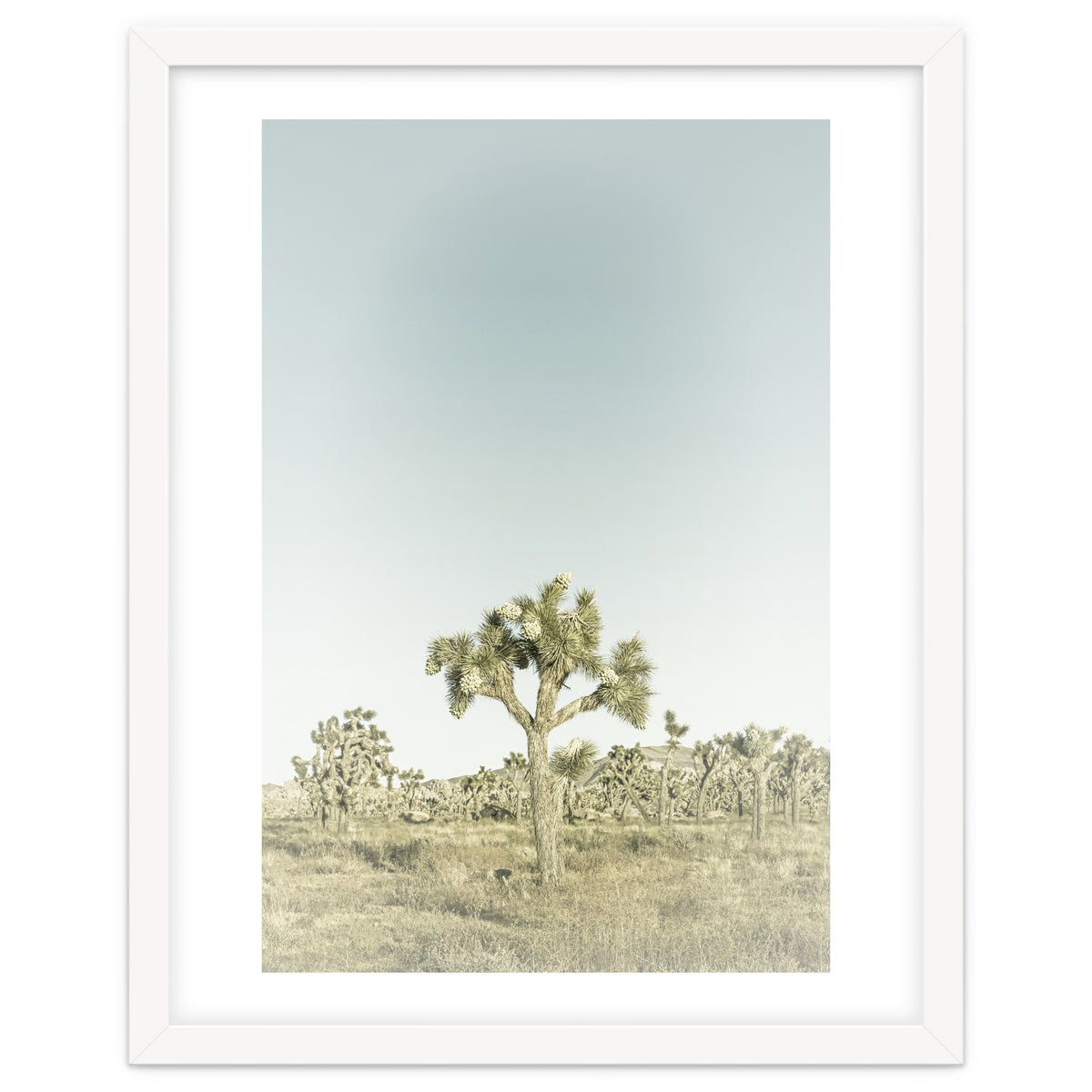 Vintage Joshua Tree