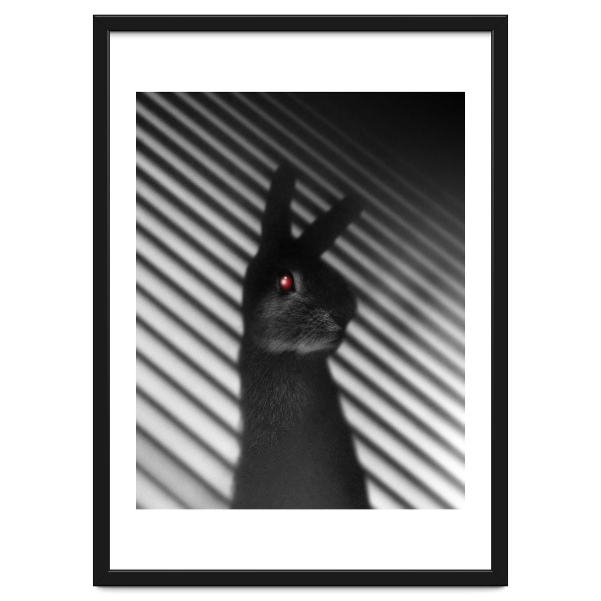 Shadow Bunny