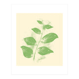 Flying Leaves (Print Only) thumbnail