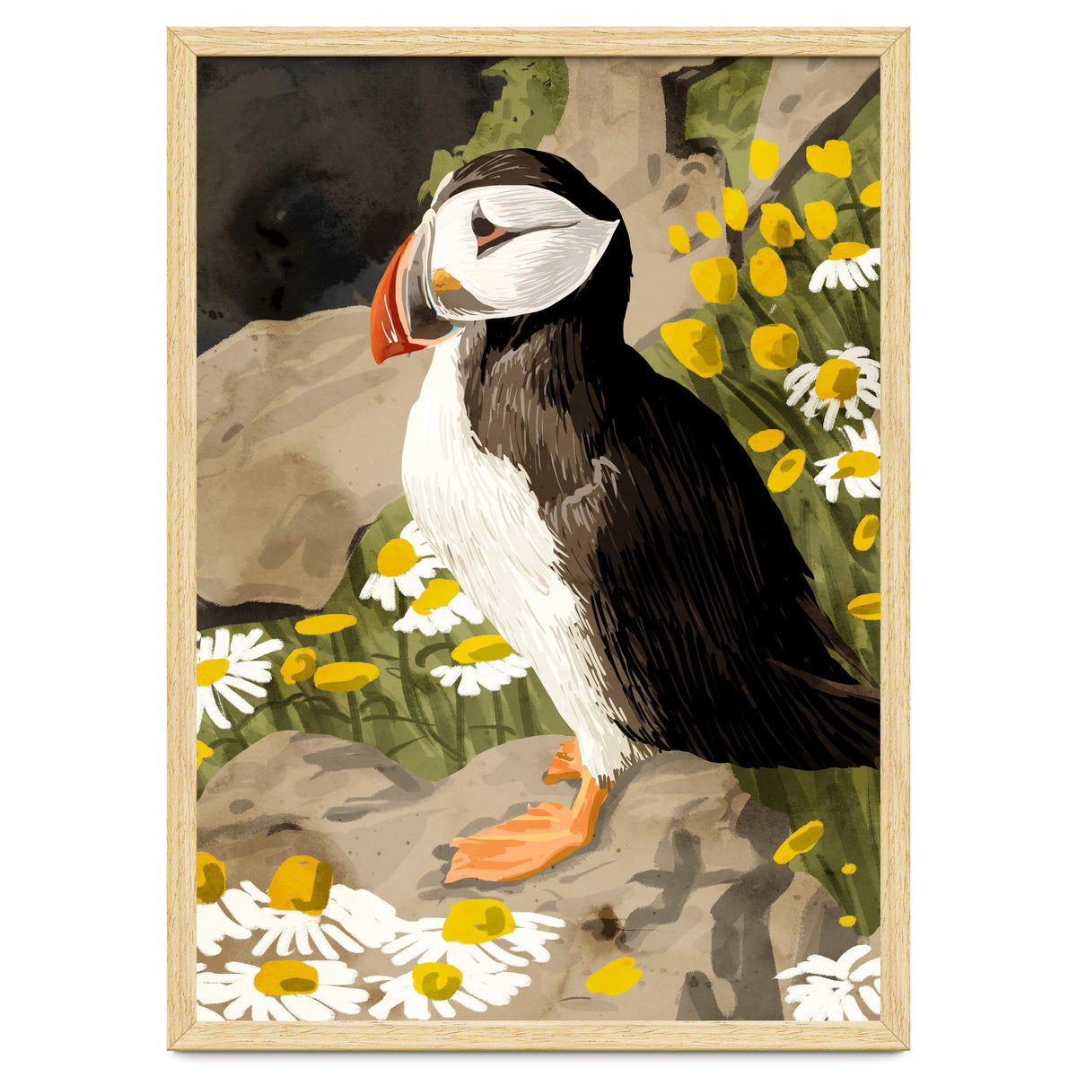 Puffin