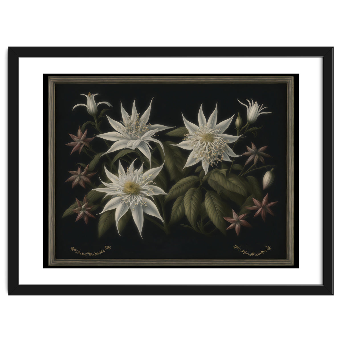 Edelweiss Vintage Illustration