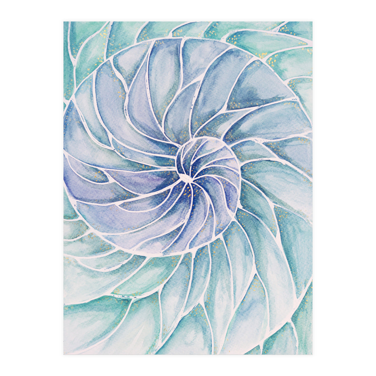 The inside of a shell (Print Only)