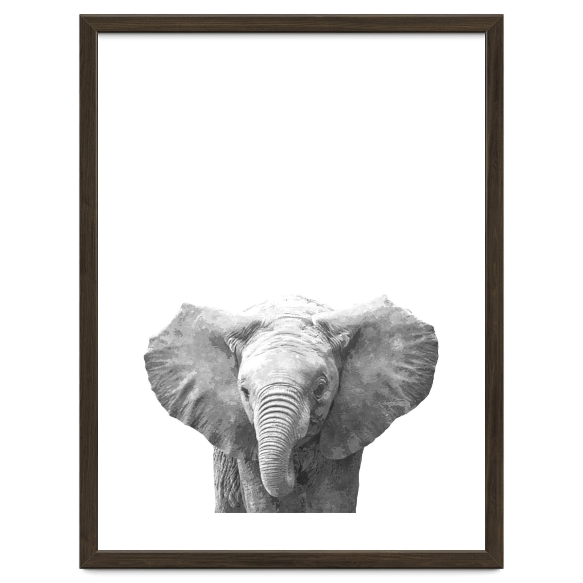 Black and White Baby Elephant