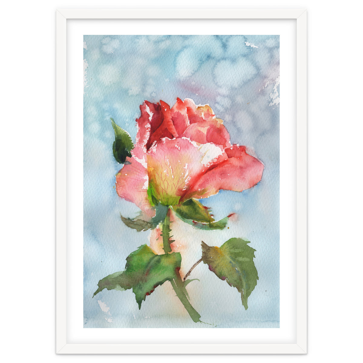 Beautiful Rose Watercolor