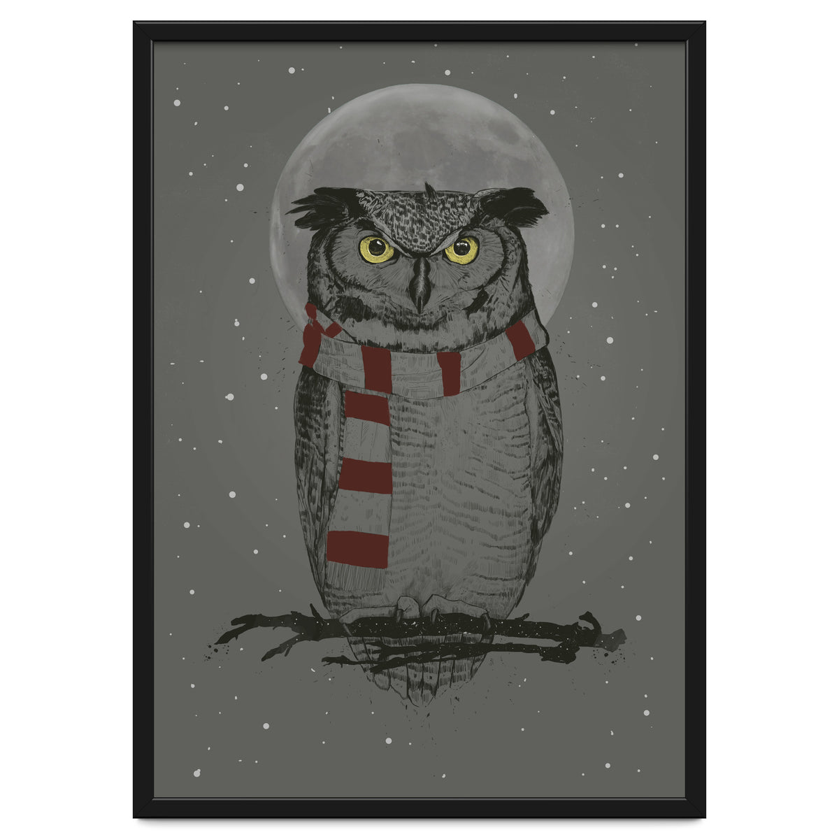 Winter Owl