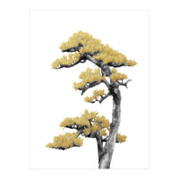 Bonsai Tree 04 (Print Only)