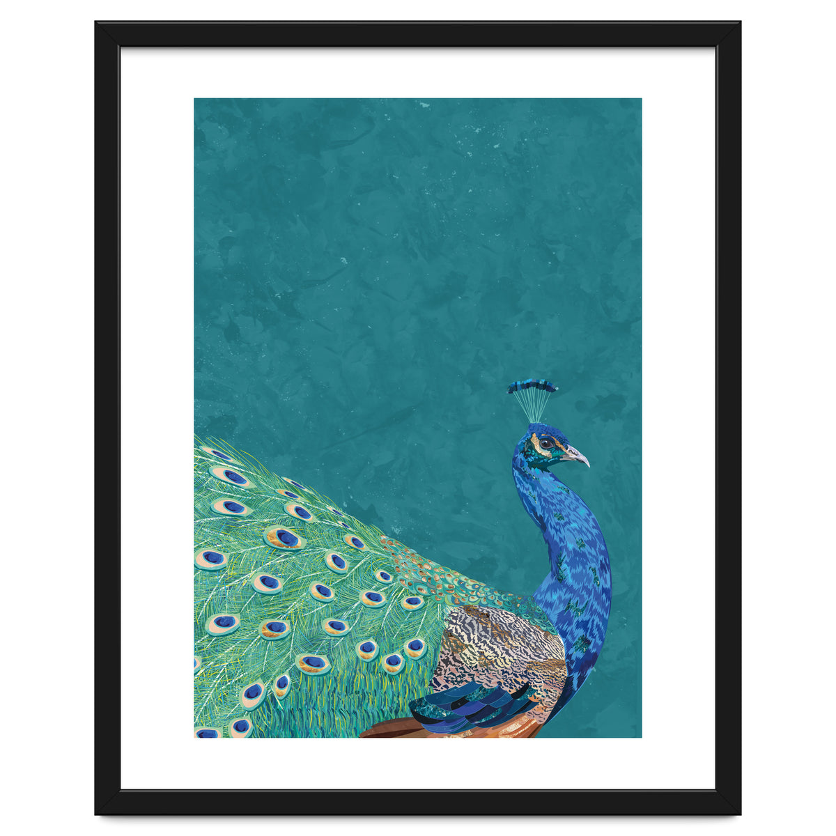 Perfect Peacock Turquoise Portrait