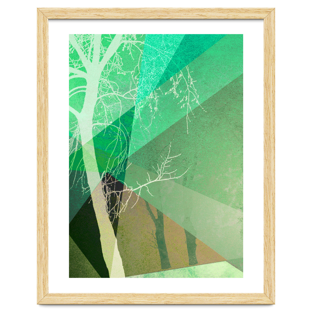 P22-B6 Trees And Triangles