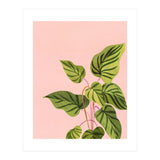 Tropical Rising (Print Only) thumbnail