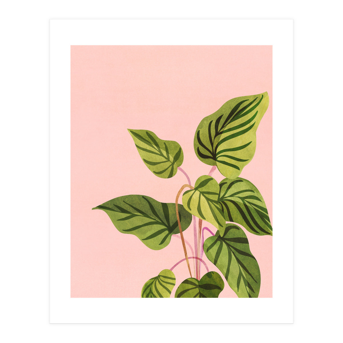 Tropical Rising (Print Only)