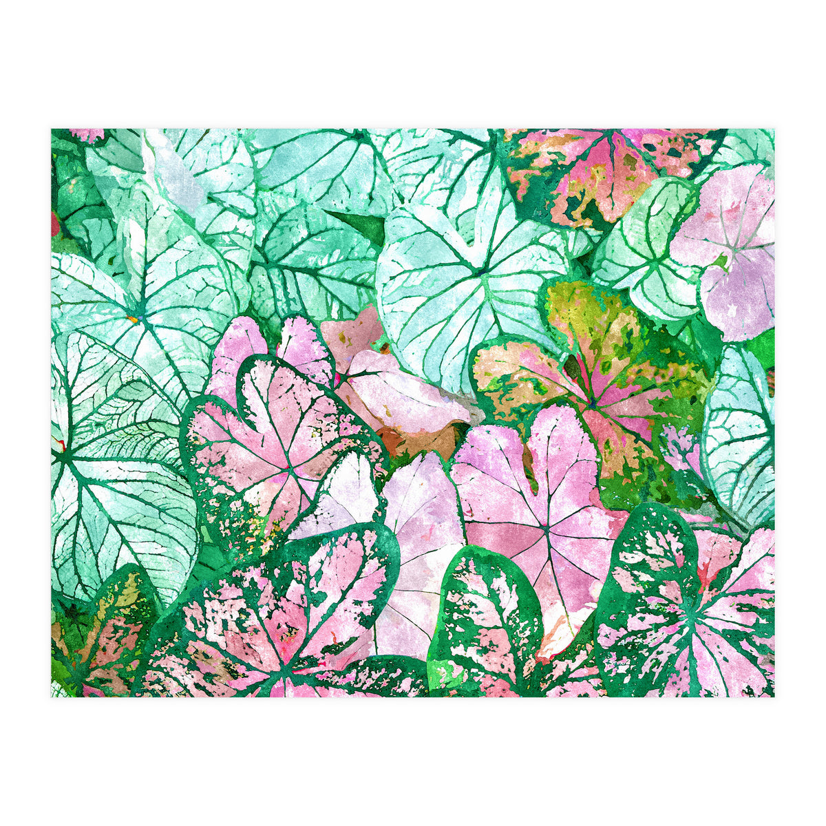 Rain & Nature (Print Only)