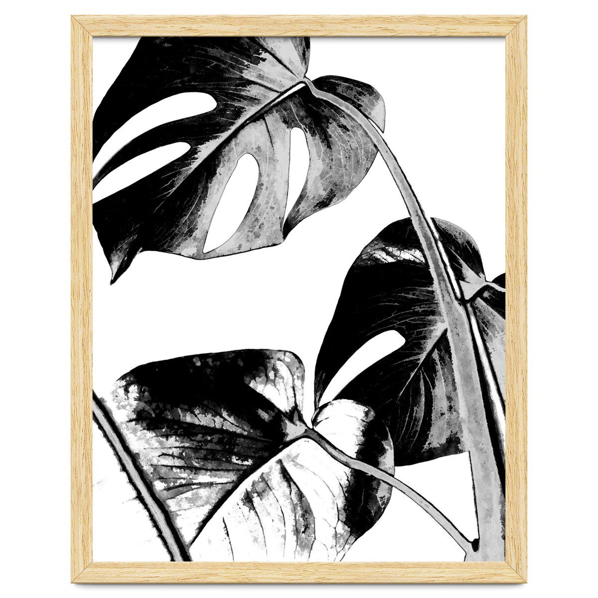 Black Tropical Leaves