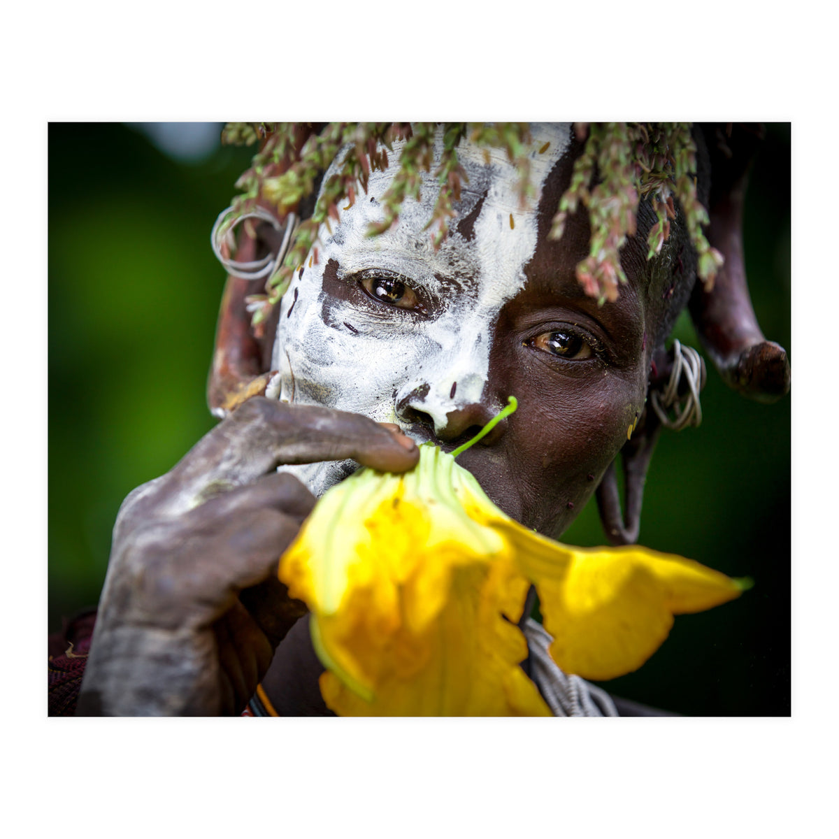 Sure flower (Print Only)