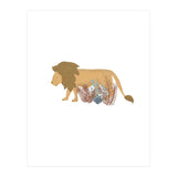 Lion (Print Only) thumbnail