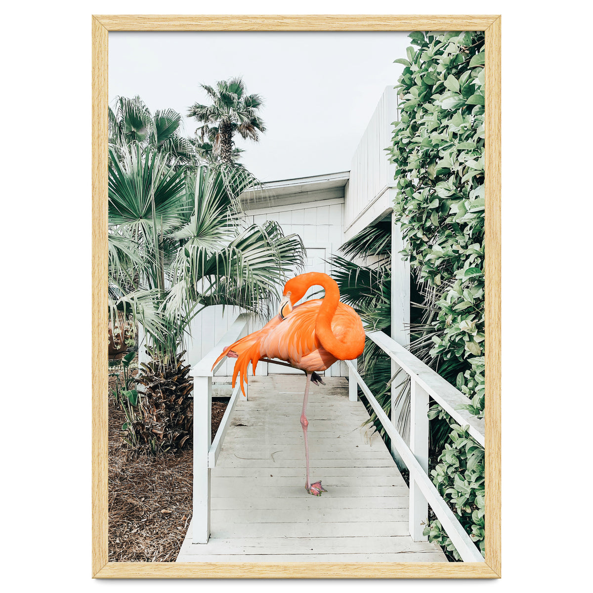 Flamingo Beach House