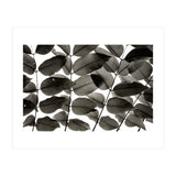 Branches and Leaves I (Print Only) thumbnail