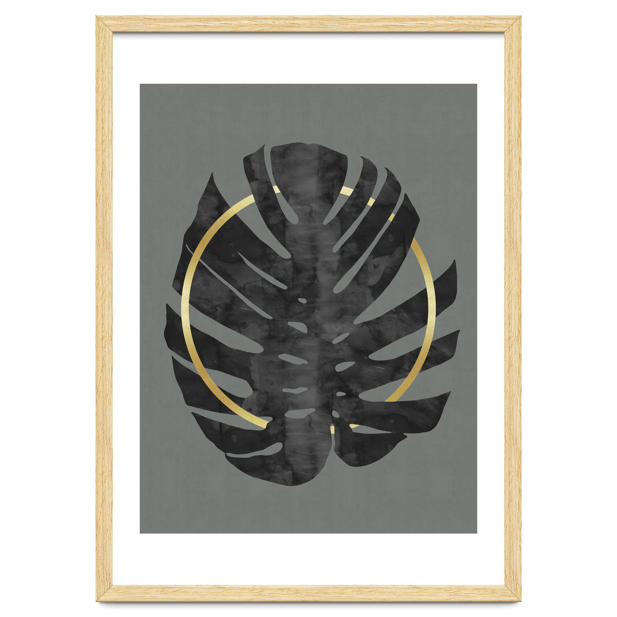 Monstera Deliciosa I