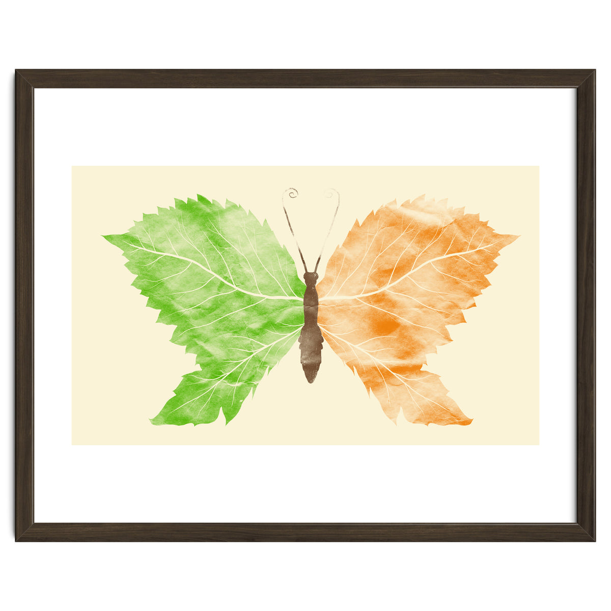 Seasons Change Time Flies